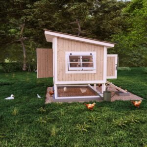 The Best Chicken Coop Plans for Your Chicken.