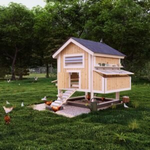 Chicken Coop Plans