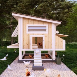 The Best Chicken Coop Plans for Your Chicken.