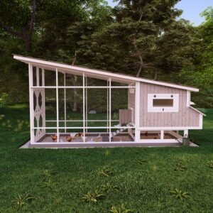 DIY Chicken Coop Plans With Run