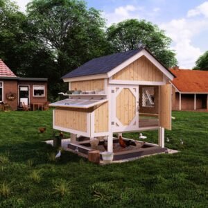 Chicken Coop Plans for For 12