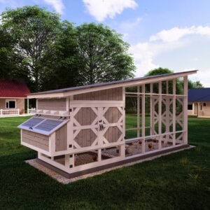DIY Chicken Coop Plans With Run