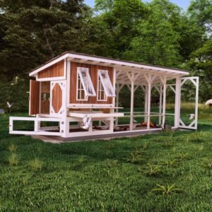DIY Chicken Coop Plans With Run