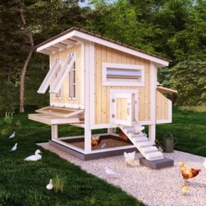 Chicken Coop Plans