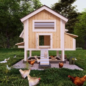 The Best Chicken Coop Plans for Your Chicken.