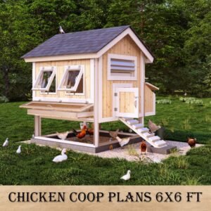 Chicken Coop Plans for 12 Chickens
