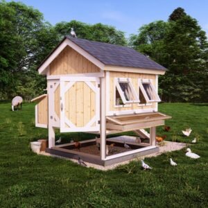 Chicken Coop Plans for For 12