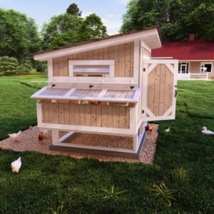 The Best Chicken Coop Plans for Your Chicken.