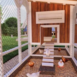 Chicken Run Coop Plans – DIY backyard blueprint