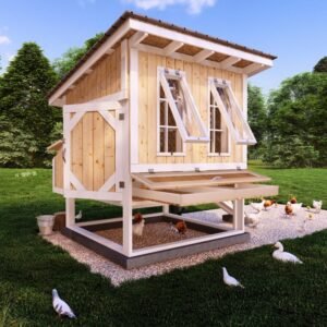 The Best Chicken Coop Plans for Your Chicken.
