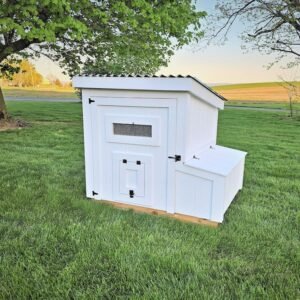 How To Build A Chicken Coop