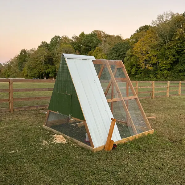 A-Frame Chicken Tractors
